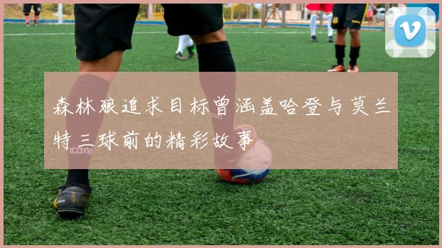 森林狼追求目标曾涵盖哈登与莫兰特三球前的精彩故事