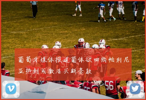 葡萄牙媒体报道葡体欲回购帕利尼亚热刺或激活买断条款